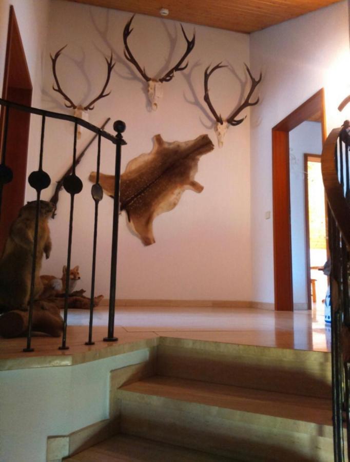 Haus Saentisblick Apartment Eriskirch Luaran gambar