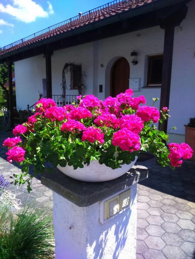 Haus Saentisblick Apartment Eriskirch Luaran gambar